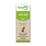 HERBALGEM Figuier bio 30ml