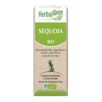 HERBALGEM Sequoia géant bio 30ml