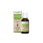 HERBALGEM Châtaignier bio 30ml