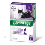 BAYER Advantage 80 chat +4kg 4 pipettes