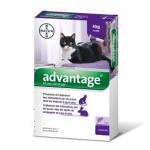 BAYER Advantage 80 chat +4kg 6 pipettes