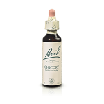 FLEURS DE BACH ORIGINAL Chicory n°8 20ml