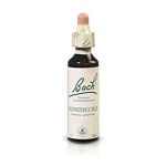 FLEURS DE BACH Honeysuckle n°16 20ml
