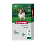 BAYER Advantix spot-on très petit chien 4 pipettes